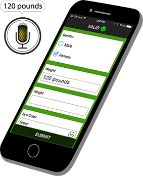 Manual Voice to Text Data Entry Manual Voice to Text Data Entry