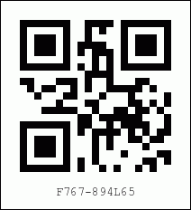 mobilesecurity2 mobile security barcode simple text