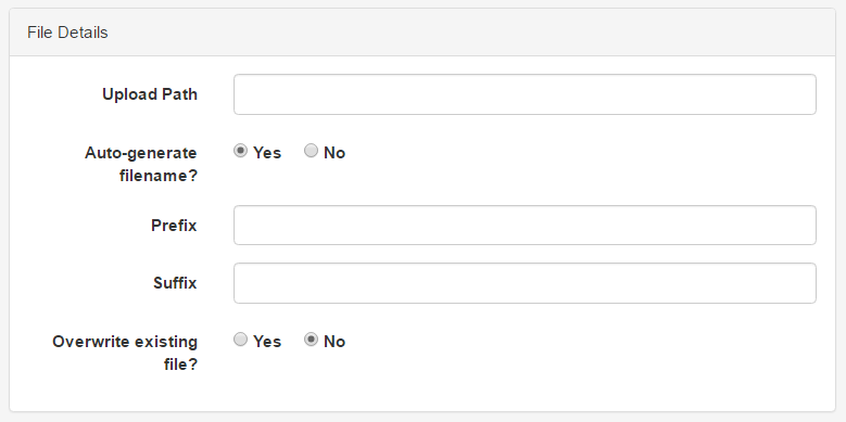 file File Details