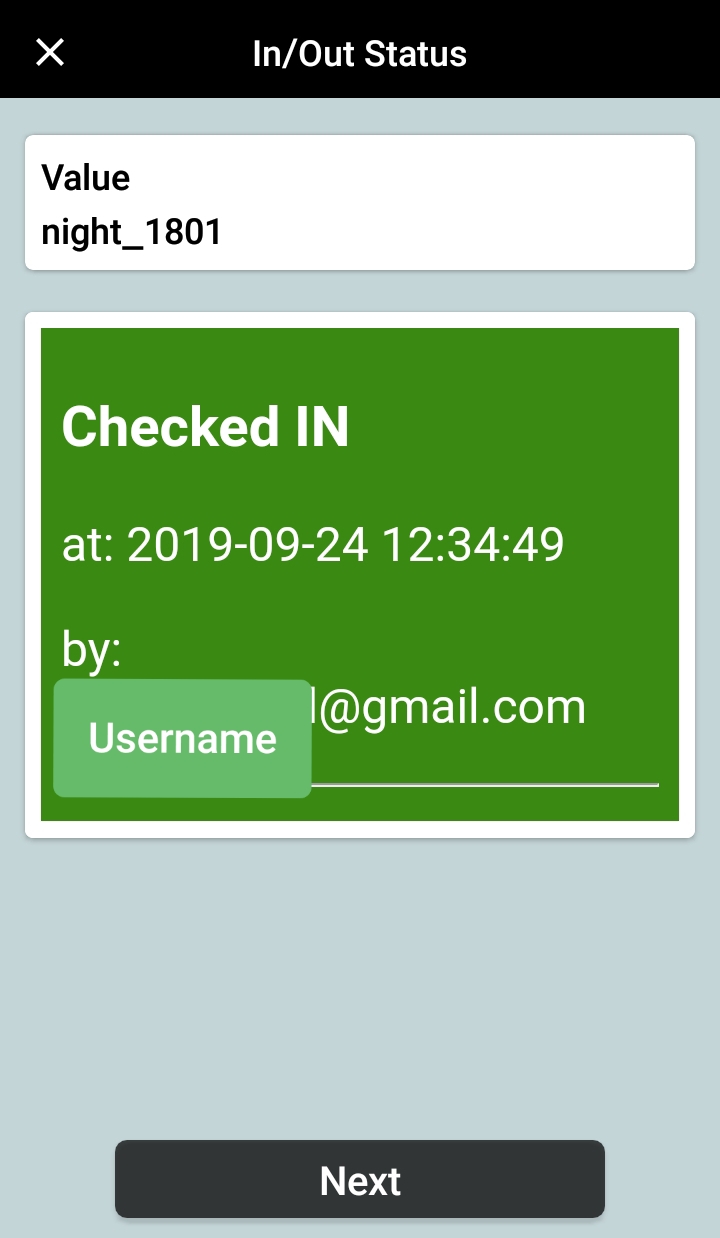 Step 5 CIO Checked In Example