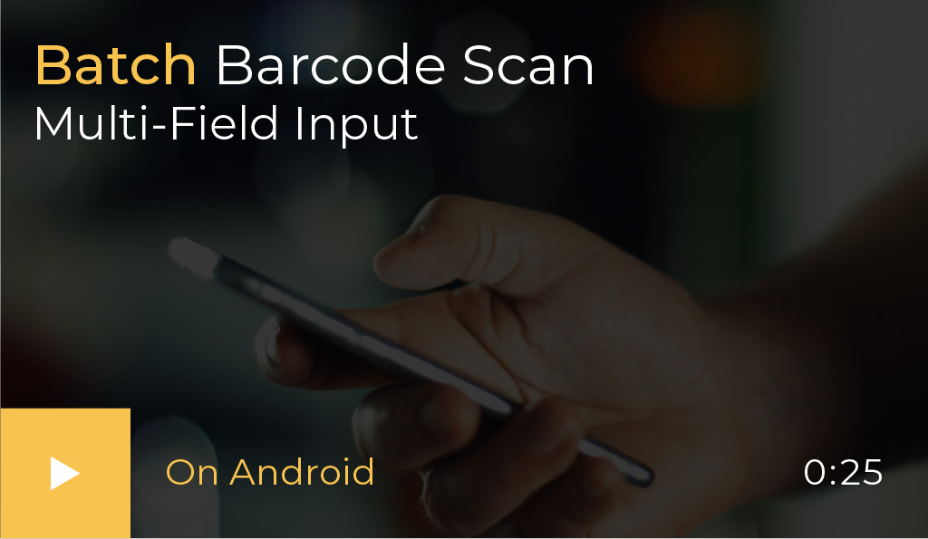 Batch Barcode Scan Multi-field input