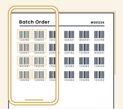 Batch Scan Mode